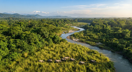 Kathmandu to Chitwan